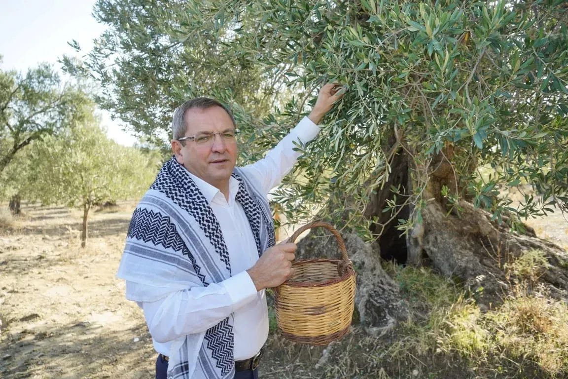 Ayvalık, zeytin ve zeytinyağının buluşma noktası olacak