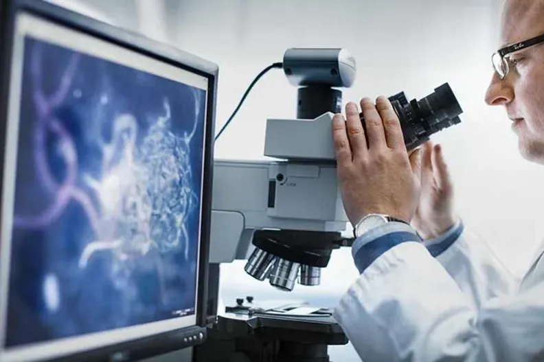 Bilimsel araştırma geliştirme hizmetleri revaçta