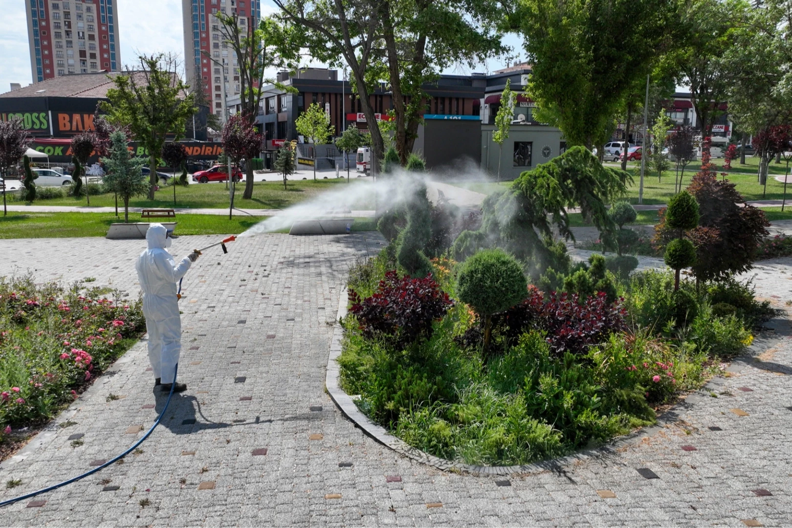 Konya