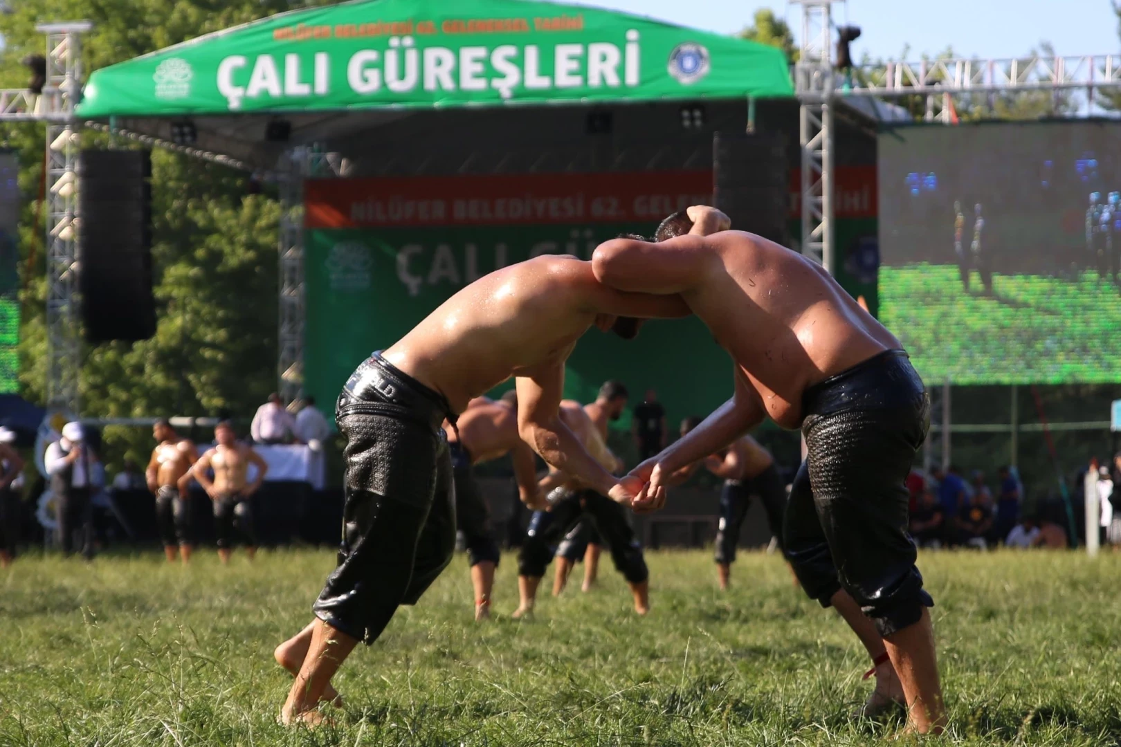 800 pehlivan Bursa