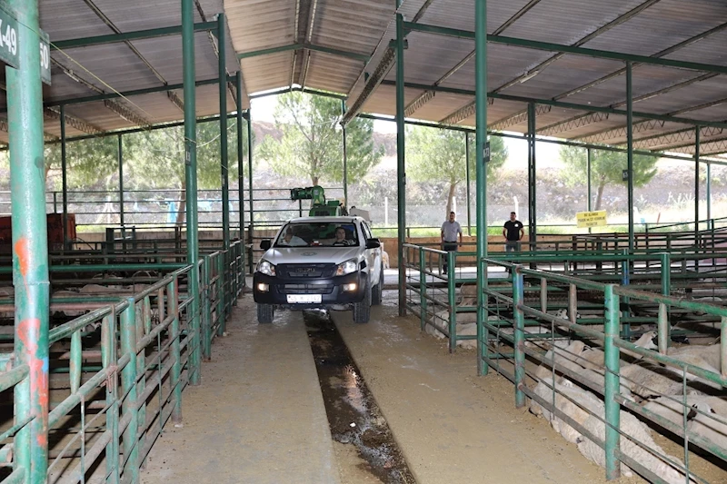 Büyükşehir Kurban Bayramı’na Hazır