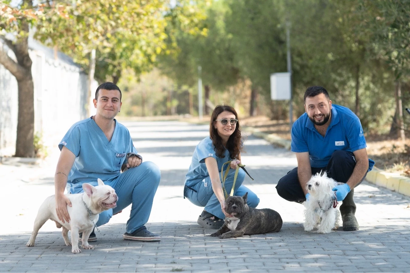 İzmir’de el konulan 20 cins köpek sahiplendirilecek